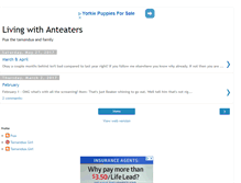 Tablet Screenshot of livingwithanteaters.com